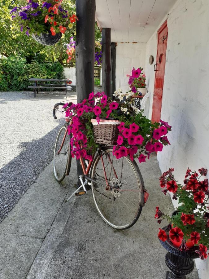 Ballycrossaun Cummins Cottages מראה חיצוני תמונה