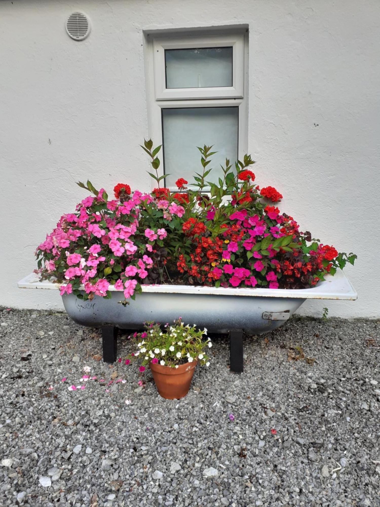 Ballycrossaun Cummins Cottages מראה חיצוני תמונה