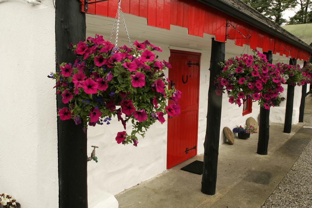 Ballycrossaun Cummins Cottages מראה חיצוני תמונה