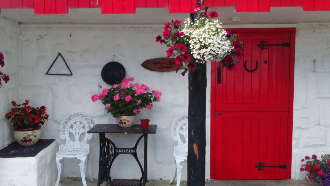 Ballycrossaun Cummins Cottages מראה חיצוני תמונה